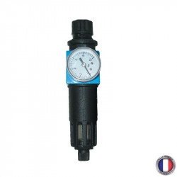 Mano détendeur filtre 1/4" femelle - cuve métal