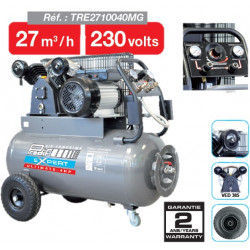 Compresseur à pistons 100L 4cv 9 bars Prodif TRE2710040MG